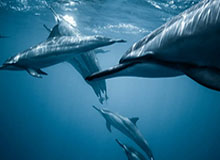 开云体育-中场失控屡次犯错 法国失利夜小图拉姆成唯一亮点